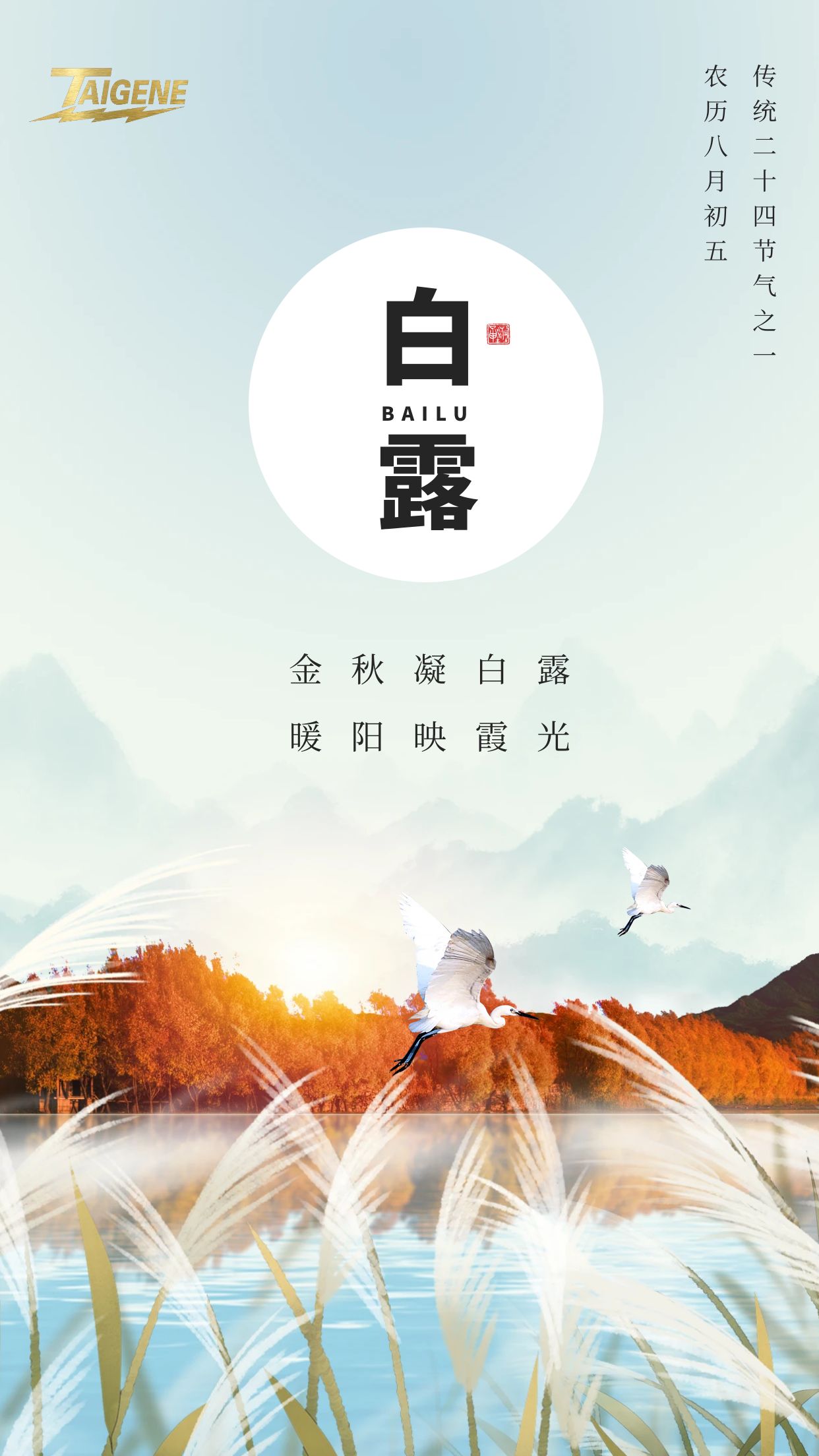 拉斯维加斯9888(中国区)官方网站